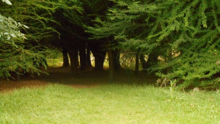 Abre tu mente y escucha la voz de la naturaleza
